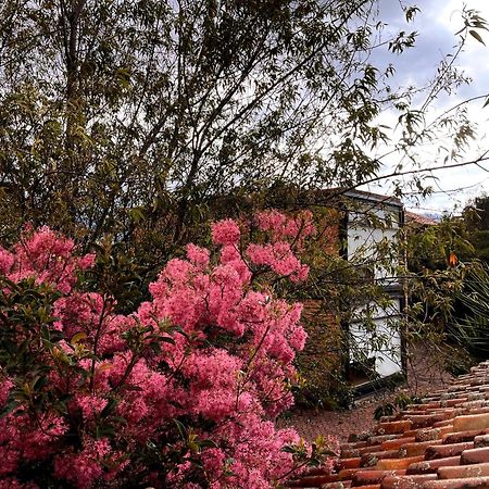 Casa Lloret Cuenca Buitenkant foto