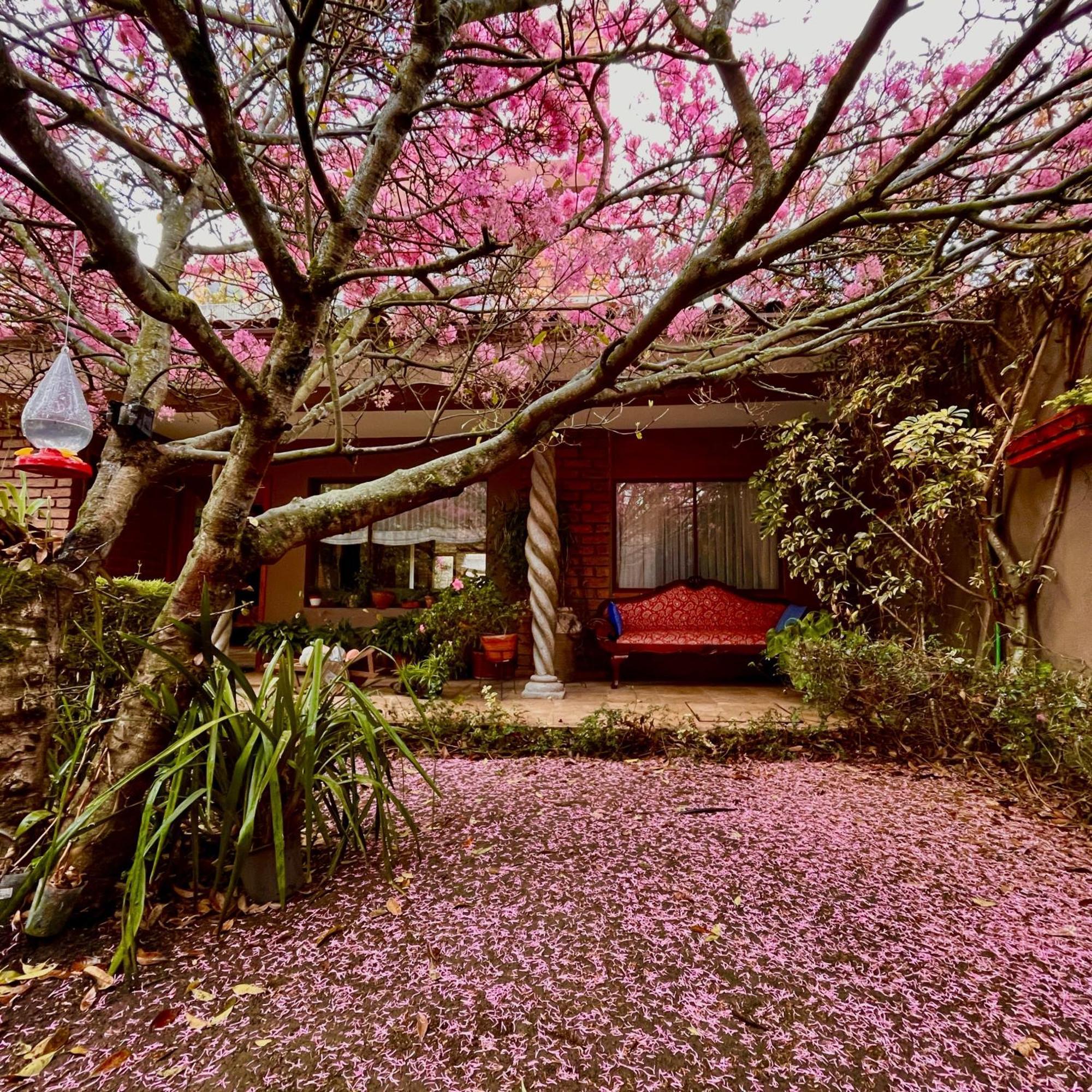 Casa Lloret Cuenca Buitenkant foto