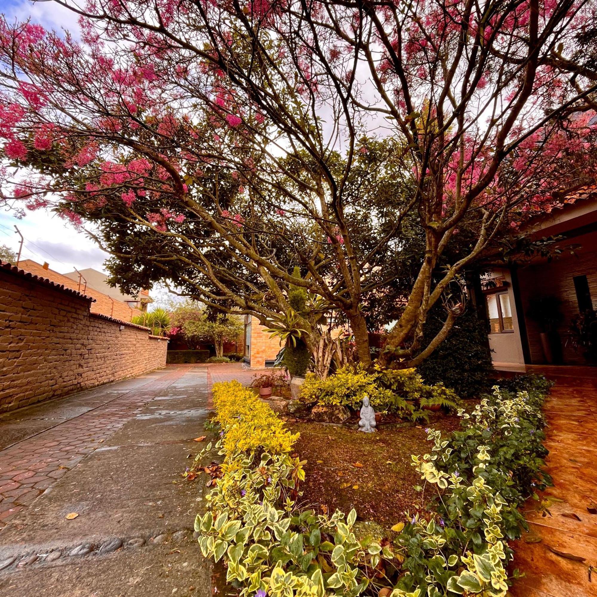 Casa Lloret Cuenca Buitenkant foto
